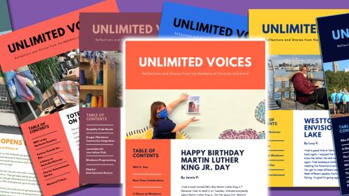Unlimited Voices-Vol. 22